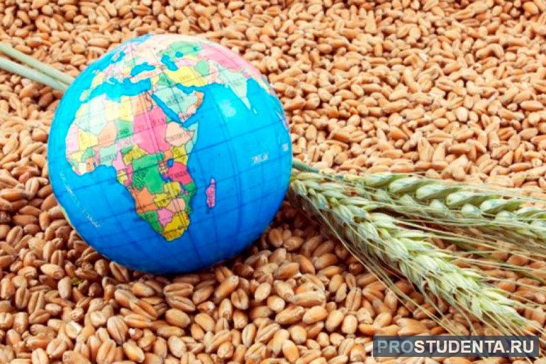 Глобальная продовольственная проблема 
