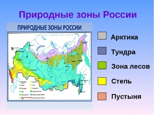 Природные зоны России: названия и характеристики