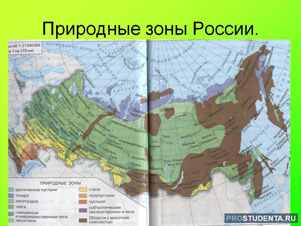 Тайга лесостепи степи карта