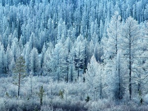 Зима в тайге очень длинная, снежная и холодная