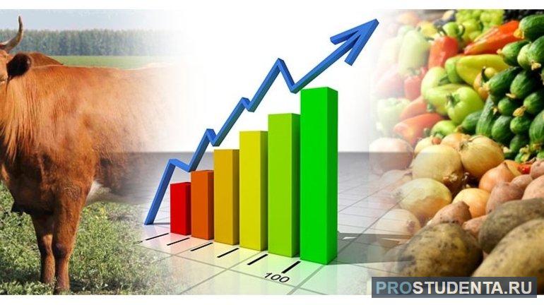 Рост производства продовольствия