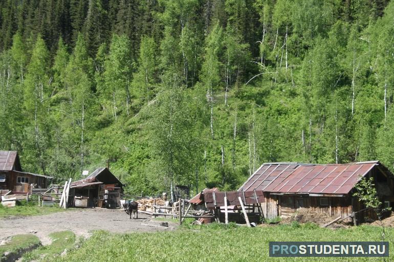 В Сибири рядом с деревеньками Зуяты и Вереино