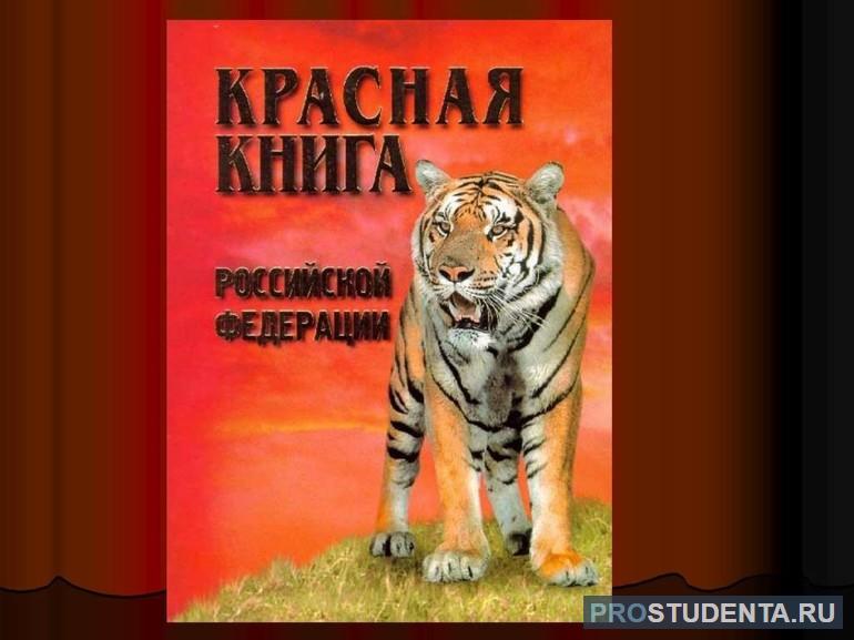 Школьный доклад-сообщение на тему «Красная книга России»