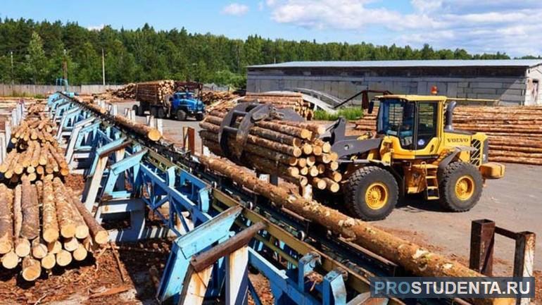 Предприятия, специализирующиеся на заготовке леса