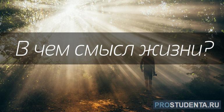 Сочинение «В чём смысл жизни»: поиски общечеловеческой цели