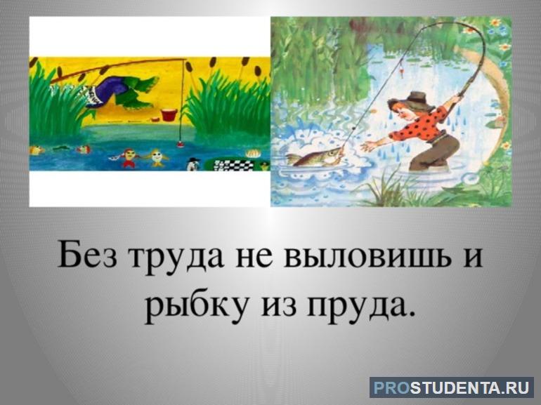 Рисунок к пословице без труда не вытащишь и рыбку из труда