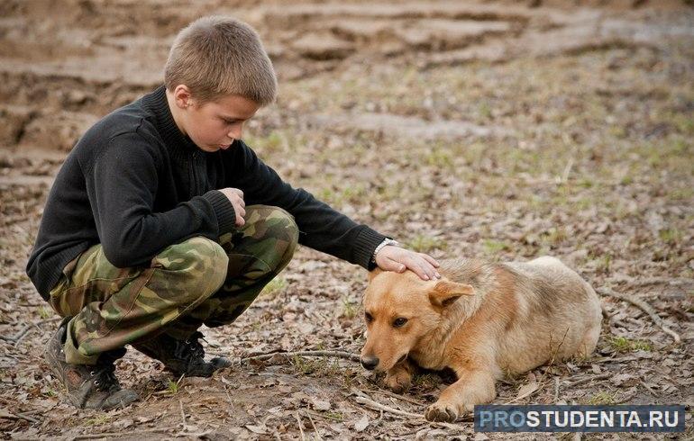 Сострадание — это особое качество человеческой души