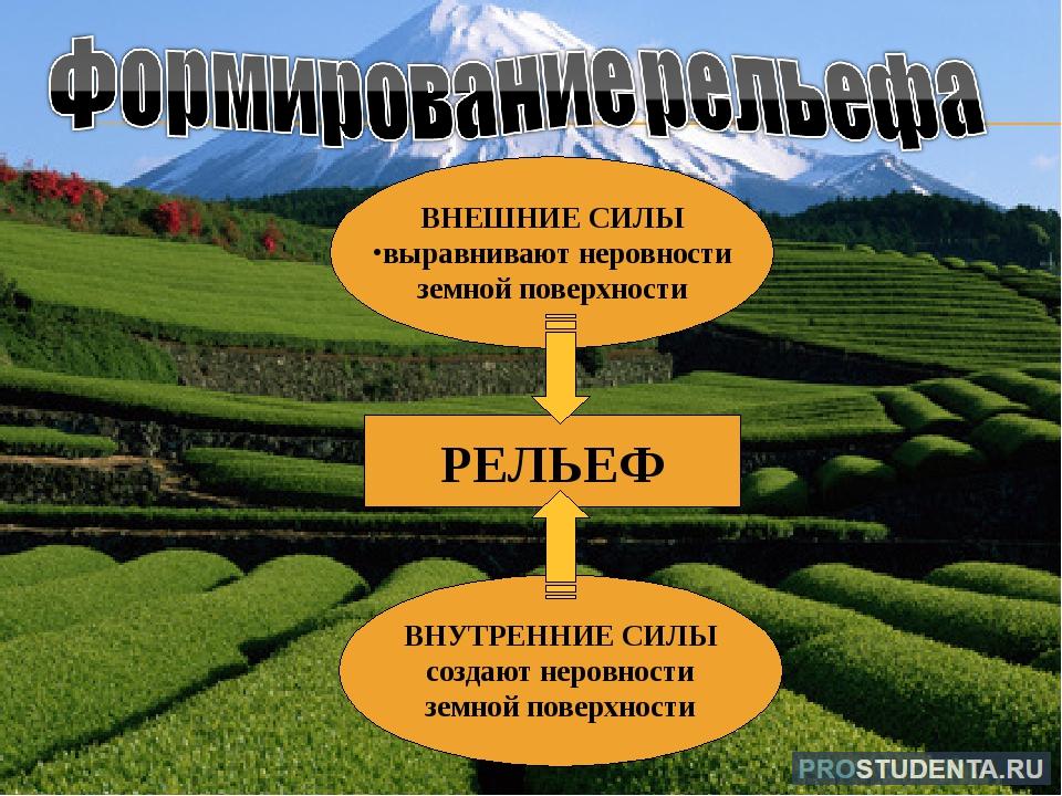 Дайте описание рельефа своей местности отвечая на вопросы по плану какими формами образован рельеф