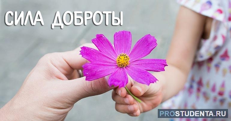 В чем заключается сила доброты