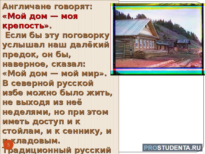 Вы точно человек?