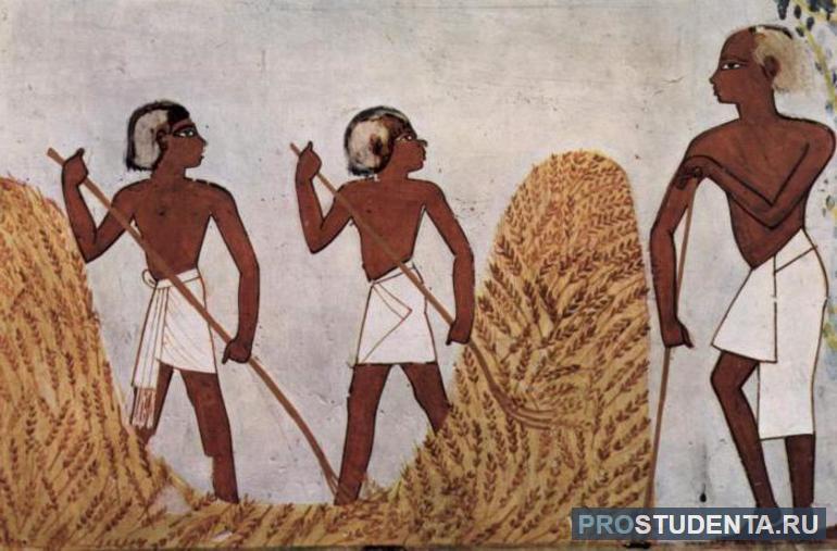 Земледелие в древнем египте 