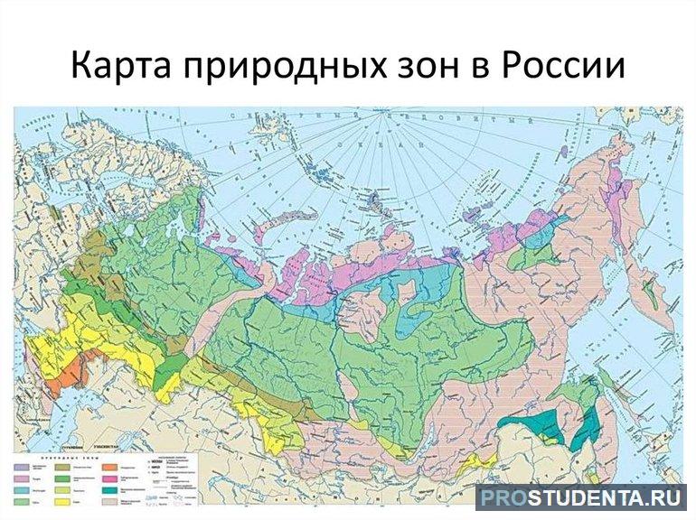 Природные зоны в России