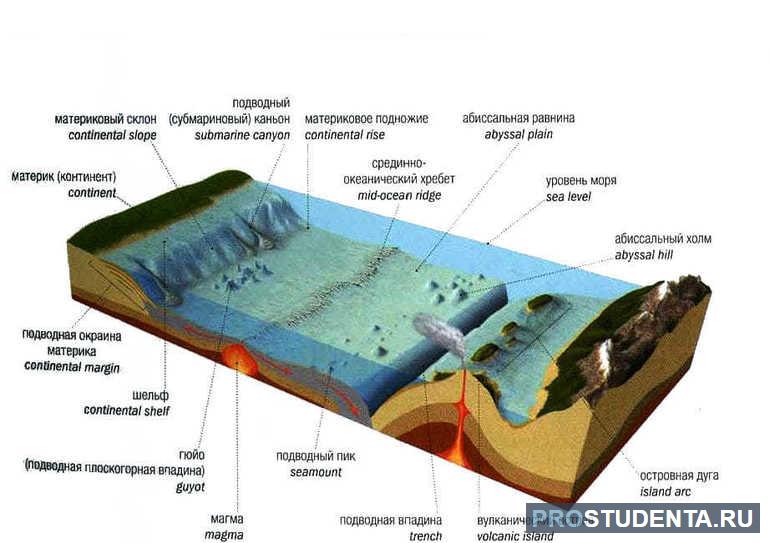 Подводный рельеф дна Мирового океана