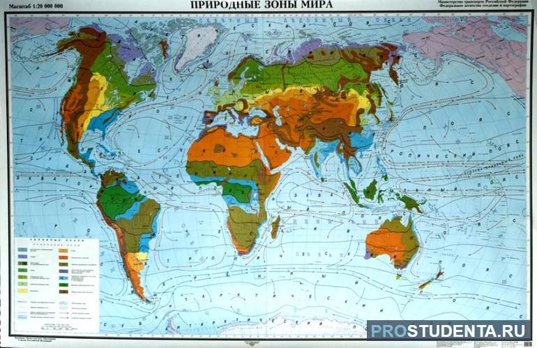 Карта природных зон мира