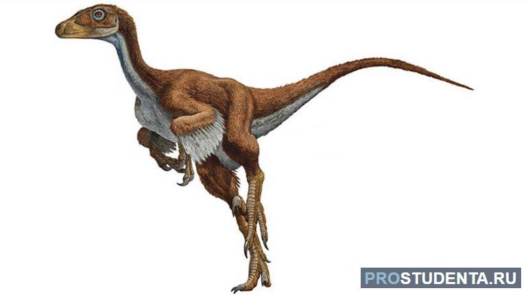 Дромеозавриды, представители отряда ящеротазовые