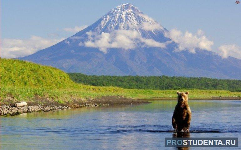 Особо охраняемые природные территории России: виды, значение, описание