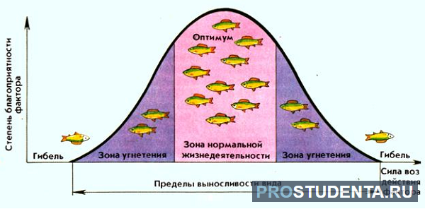 Пункты оптимума. Закон оптимума экология. Модель оптимума производителя. Оптимум биология. Примеры биологического оптимума для растений и животных.